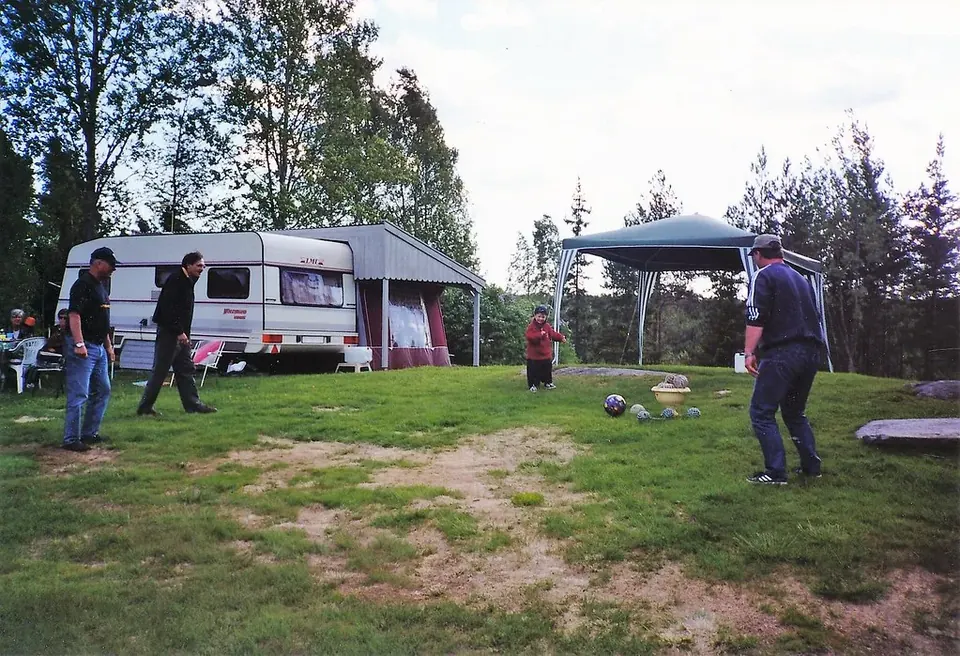 Norwegian Cousins