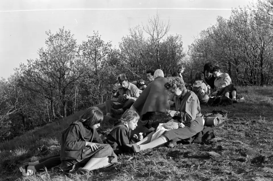 A picnic · 1962