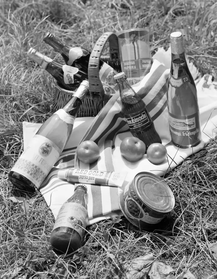 A picnic · 1975