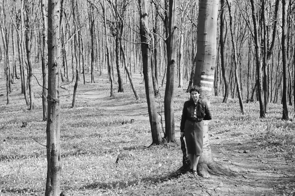 An outing · 1955