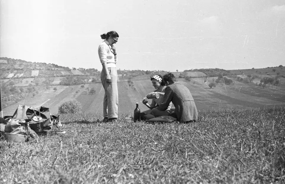 A picnic · 1957