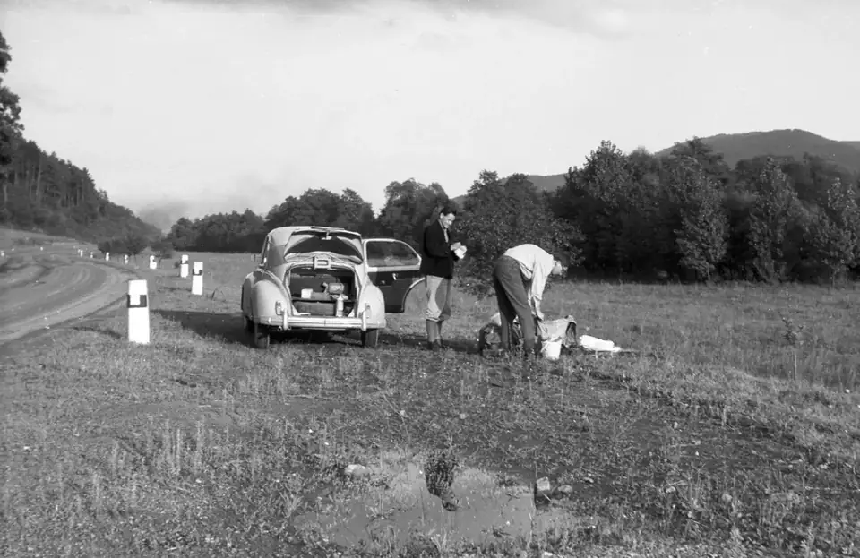 A picnic · 1966