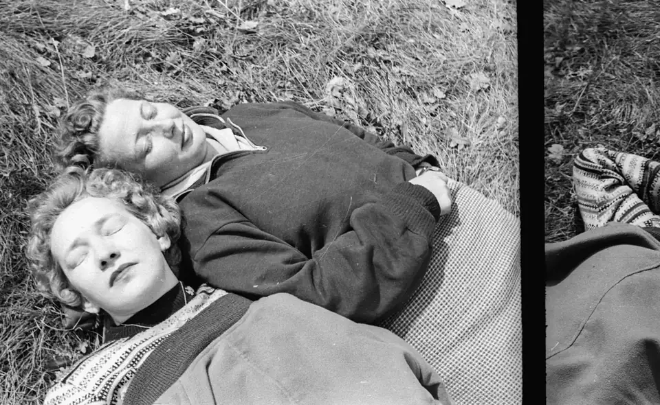A picnic · 1958