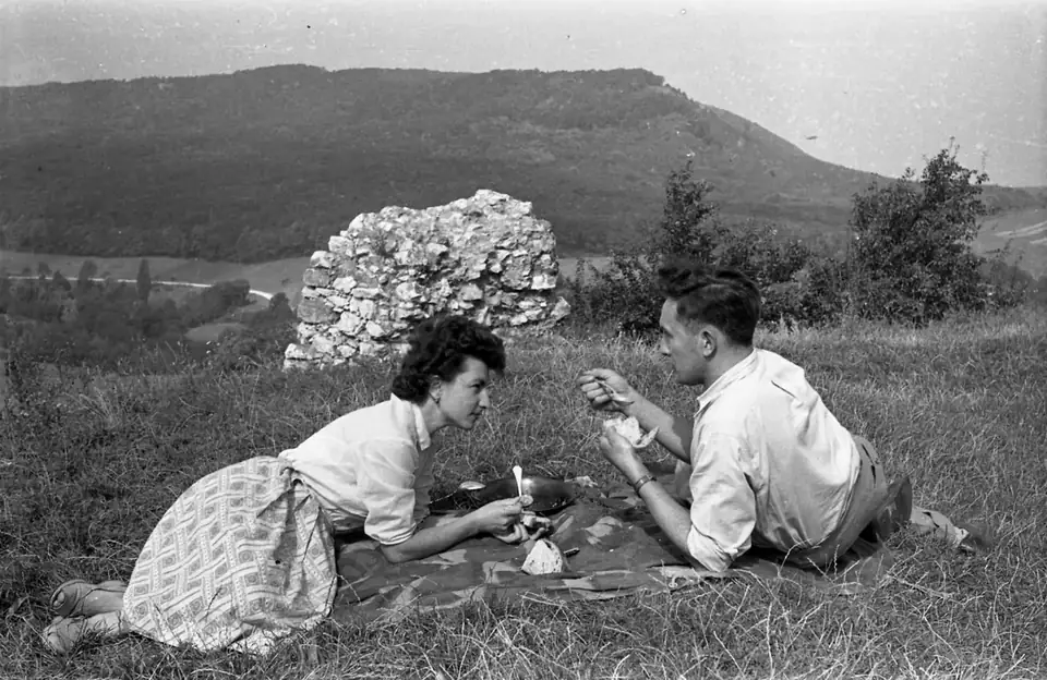 A picnic · 1960